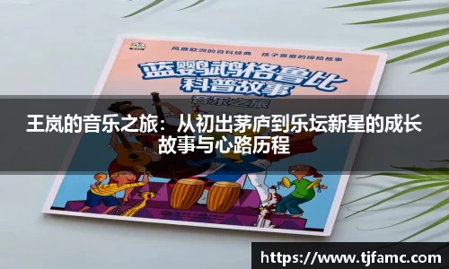 王岚的音乐之旅：从初出茅庐到乐坛新星的成长故事与心路历程